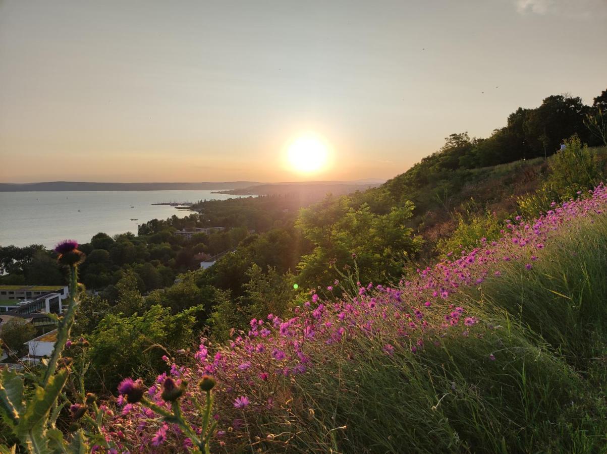 Akarattya Endless Summer Woodhouse Balatonakarattya Zewnętrze zdjęcie